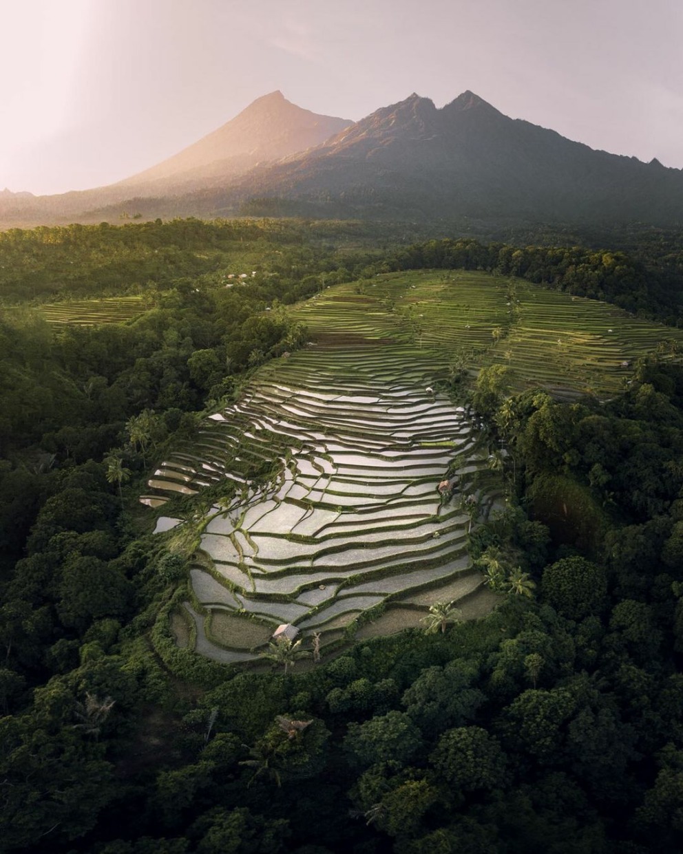 Amazing rice fields view from our hotel in Tetebatu
