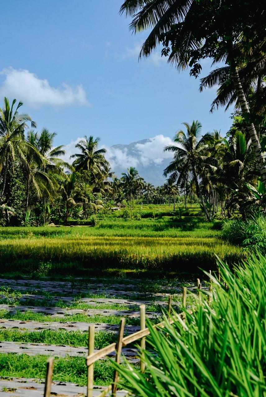 Lombok hotel